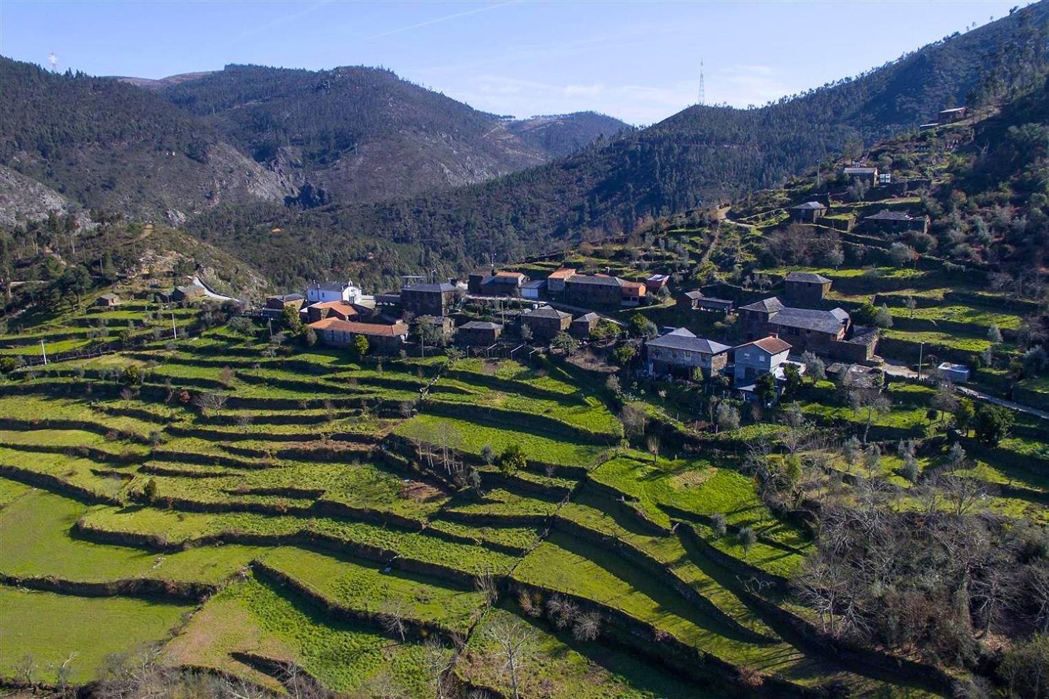Casa Da Figueira - Rio Paiva Βίλα Αρούκα Εξωτερικό φωτογραφία