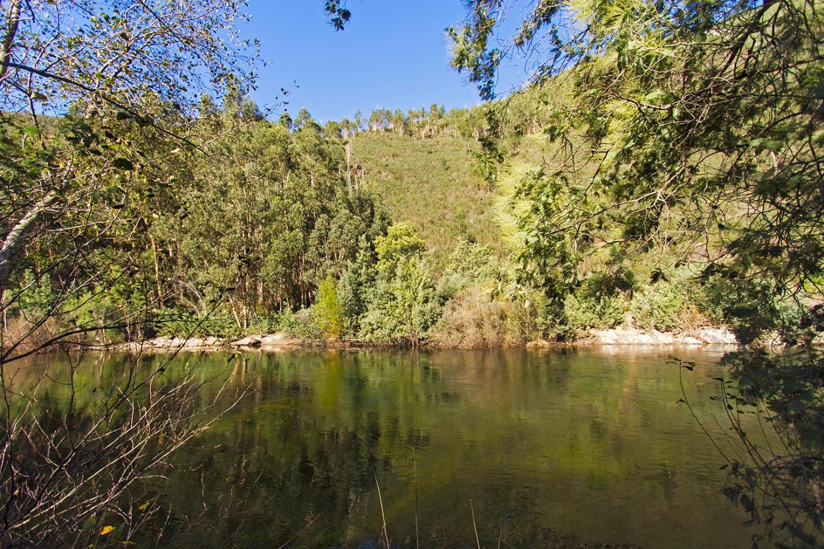 Casa Da Figueira - Rio Paiva Βίλα Αρούκα Εξωτερικό φωτογραφία
